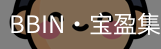 BIN宝盈集团